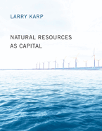 Natural Resources as Capital