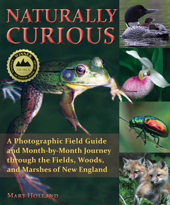 Naturally Curious: A Photographic Field Guide and Month-By-Month Journey Through the Fields, Woods, and Marshes of New England - Holland, Mary