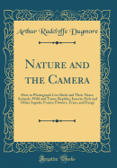 Nature and the Camera: How to Photograph Live Birds and Their Nests; Animals, Wild and Tame; Reptiles; Insects; Fish and Other Aquatic Forms; Flowers, Trees, and Fungi (Classic Reprint)