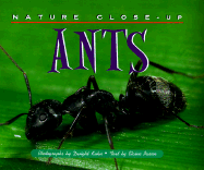 Nature Close Up: Ants - Pascoe, Elaine