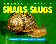 Nature Close Up: Snails & Slugs - Pascoe, Elaine