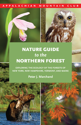 Nature Guide to the Northern Forest: Exploring the Ecology of the Forests of New York, New Hampshire, Vermont, and Maine - Marchand, Peter
