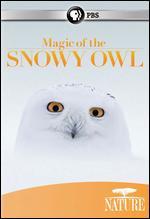 Nature: Magic of the Snowy Owl