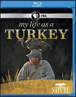 Nature: My Life as a Turkey [Blu-ray]