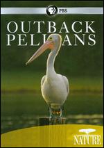 Nature: Outback Pelicans - 
