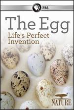 Nature: The Egg - Life's Perfect Invention