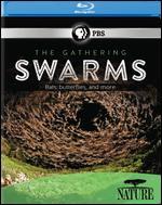 Nature: The Gathering Swarms [Blu-ray]