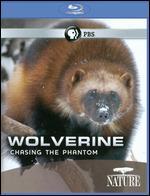 Nature: Wolverine - Chasing the Phantom [Blu-ray]