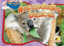 Necesidades Bsicas: Basic Needs