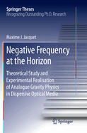 Negative Frequency at the Horizon: Theoretical Study and Experimental Realisation of Analogue Gravity Physics in Dispersive Optical Media