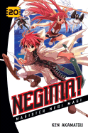 Negima!, Volume 20: Magister Negi Magi - Akamatsu, Ken