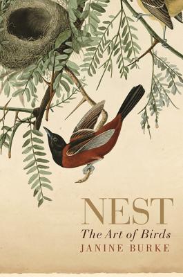 Nest: The art of birds - Burke, Janine