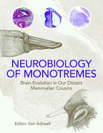 Neurobiology of Monotremes: Brain Evolution in Our Distant Mammalian Cousins