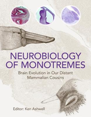 Neurobiology of Monotremes: Brain Evolution in Our Distant Mammalian Cousins - Ashwell, Ken (Editor)