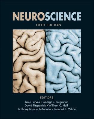 Neuroscience - Purves, Dale (Editor), and Augustine, George J. (Editor), and Hall, William C. (Editor)