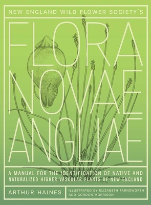 New England Wild Flower Society's Flora Novae Angliae: A Manual for the Identification of Native and Naturalized Higher Vascular Plants of New England - Haines, Arthur, and New England Wild Flower Society