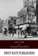 New York: A Sketch of the City's Social, Political, and Commercial Progress from the First Dutch Settlement to Recent Times