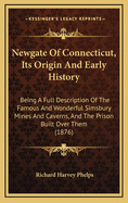 Newgate of Connecticut, Its Origin and Early History: Being a Full Description of the Famous and Wonderful Simsbury Mines and Caverns, and the Prison Built Over Them (1876)