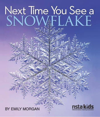 Next Time You See a Snowflake - Morgan, Emily