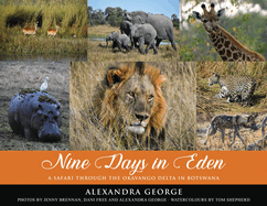 Nine Days in Eden: A Safari through the Okavango Delta in Botswana