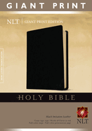 NLT Holy Bible, Giant Print, Black