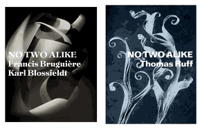 No Two Alike: Karl Blossfeldt, Francis Brugui?re, Thomas Ruff