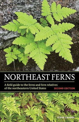 Northeast Ferns: A Field Guide to the Ferns and Fern Relatives of the Northeastern United States - Chadde, Steve W