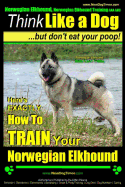 Norwegian Elkhound, Norwegian Elkhound Training AAA AKC Think Like a Dog But Don't Eat Your Poop! Norwegian Elkhound Breed Expert Training: Here's EXACTLY How To TRAIN Your Norwegian Elkhound