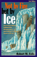 Not by Fire But by Ice - Felix, Robert W