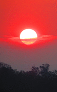Notebook: Bush Fire Sunset Over Ipswich Queensland