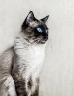 Notebook: Cat Ragdoll fluffy kitten cats kittens ragdolls breed