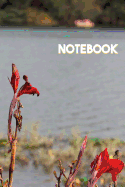 Notebook: Made for College and School Students