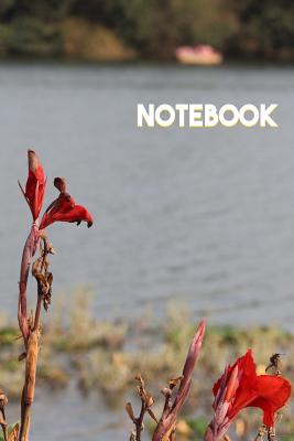 Notebook: Made for College and School Students - Books, Vivedx