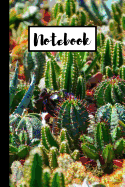 Notebook: Small Paperback Lined Cactus, Cacti Journal / Notebook / Diary 6x9