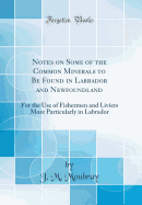 Notes on Some of the Common Minerals to Be Found in Labrador and Newfoundland: For the Use of Fishermen and Liviers More Particularly in Labrador (Classic Reprint)