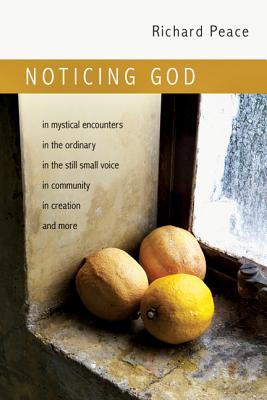 Noticing God: In Mystical Encounters, in the Ordinary, in the Still Small Voice, in Community, in Creation, and More - Peace, Richard