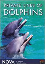 NOVA: Private Lives of Dolphins - Mark J. Davis