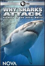 NOVA: Why Sharks Attack - 