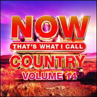 Now Country, Vol. 14 - Various Artists