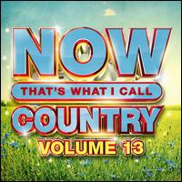 Now That's What I Call Country, Vol. 13 - Various Artists