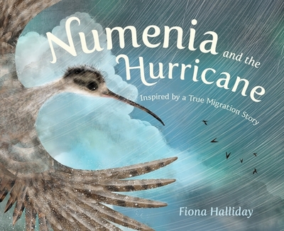 Numenia and the Hurricane: Inspired by a True Migration Story - Halliday, Fiona