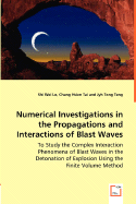 Numerical Investigations in the Propagations and Interactions of Blast Waves