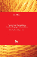 Numerical Simulation: From Brain Imaging to Turbulent Flows