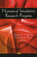 Numerical Simulation Research Progress