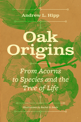 Oak Origins: From Acorns to Species and the Tree of Life - Hipp, Andrew L, and Chass, Batrice (Foreword by)