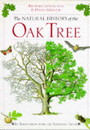 Oak Tree, Natural History - Streeter, David