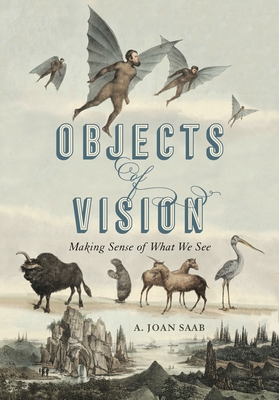 Objects of Vision: Making Sense of What We See - Saab, A Joan