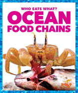 Ocean Food Chains