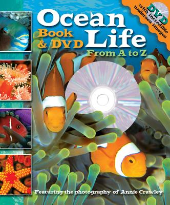 Ocean Life: From A to Z - Stierle, Cynthia, and Crawley, Annie