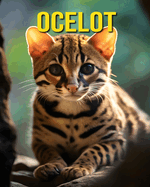 Ocelot: Fun and Amazing Pictures About Ocelot